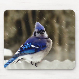 Mousepad Foto de Jay azul