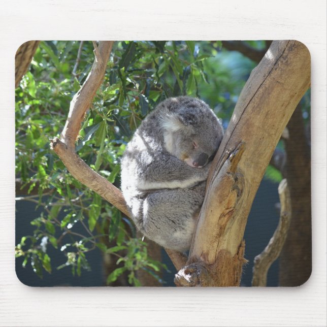 Mousepad Foto de Koala Dormindo (Frente)