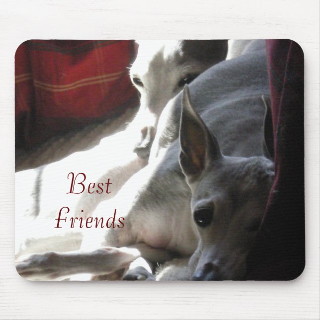 Mousepad Foto de "Melhores Amigos" italiana de greyhound (Frente)