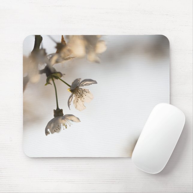 Mousepad Foto de Natureza da Árvore Branca de Cereja (Com mouse)