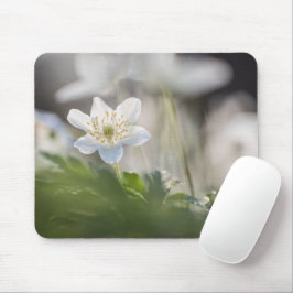 Mousepad Foto de Natureza de Anemone da Madeira