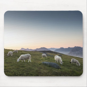 Mousepad Foto de Paisagem de Ovinos do Lofoten