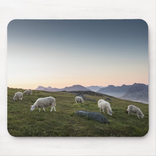 Mousepad Foto de Paisagem de Ovinos do Lofoten (Frente)