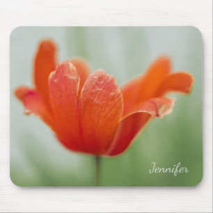 Mousepad Foto de Pétala de Flor de Tulipa Vermelha Bonita c