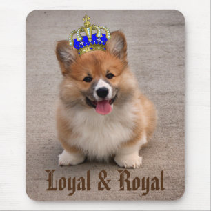 Mousepad Foto de Puppy do Corgi Real e Real
