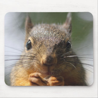 Mousepad Foto de sorriso do esquilo bonito