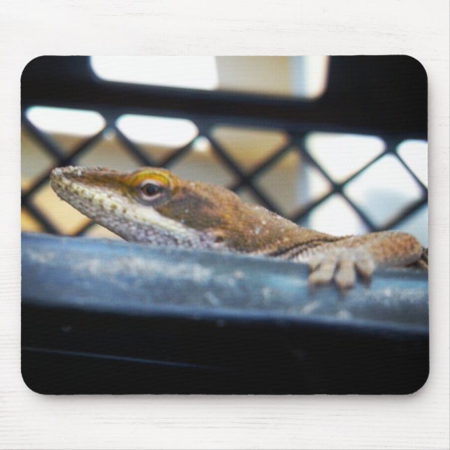 Mousepad Foto de Sunning Green Anole Lizard (Frente)