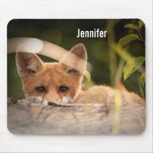 Mousepad Foto de uma Raposa Laranja Bonita