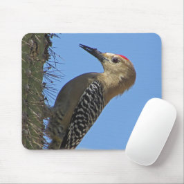 Mousepad Foto de vida selvagem de pássaro do deserto de cac