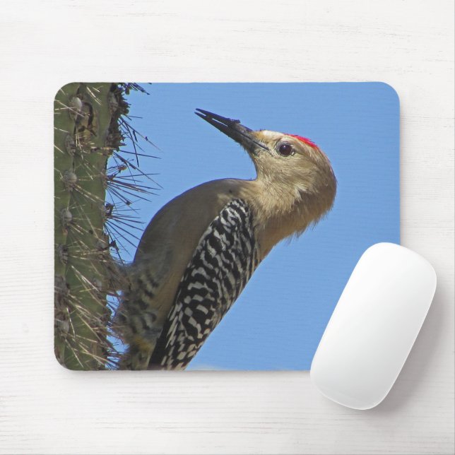 Mousepad Foto de vida selvagem de pássaro do deserto de cac (Com mouse)