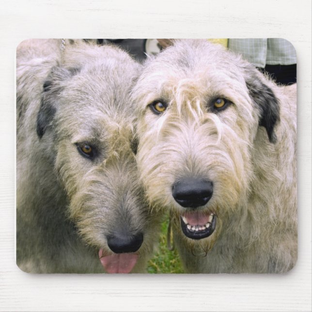 Mousepad Foto de Wolfhound Irlandês (Frente)