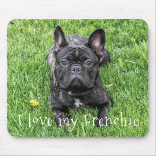 Mousepad Foto do Bulldog Francês "I Love My Frenchie"