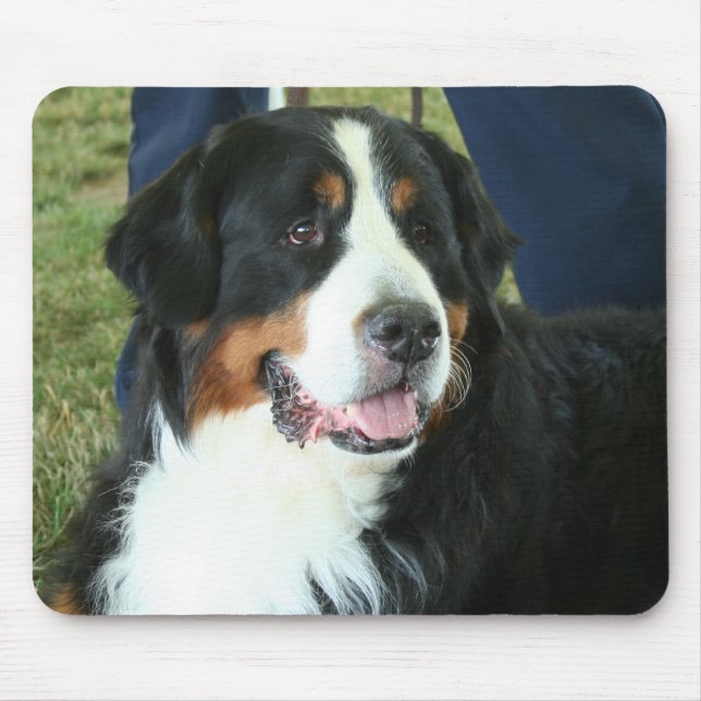 Mousepad Foto do Cachorro da Montanha Bernese (Frente)