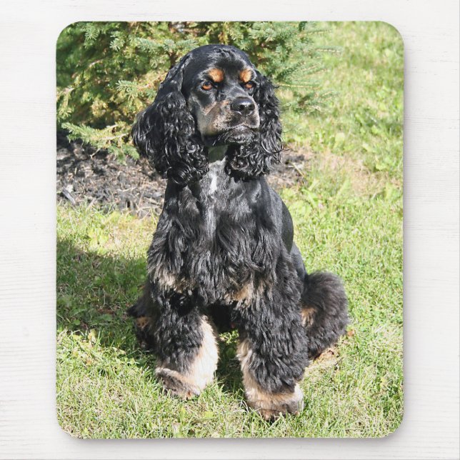 Mousepad Foto do Cocker Spaniel (Frente)