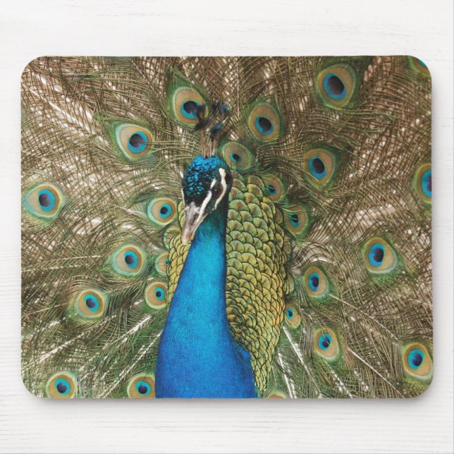 Mousepad Foto do pavão bonito com penas espalhadas (Frente)