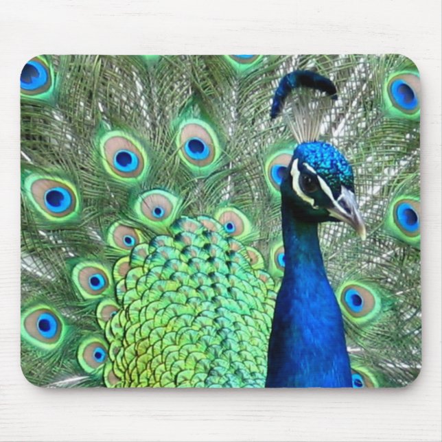 MOUSEPAD FOTO DO PEAFOWL DO PAVÃO (Frente)