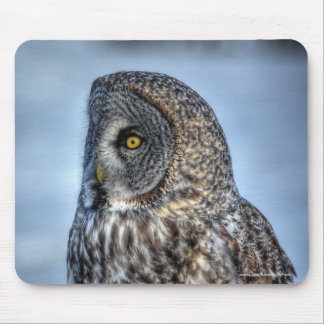 Mousepad Foto do Raptor da Cinza de Excelente