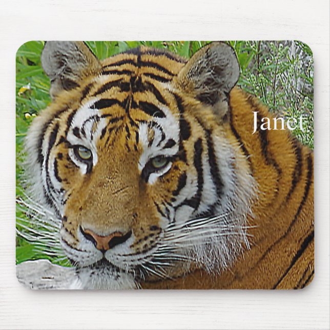 Mousepad Foto do rosto do Tigre Siberiano (Frente)