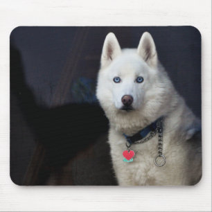 Mousepad Foto do rouco Siberian