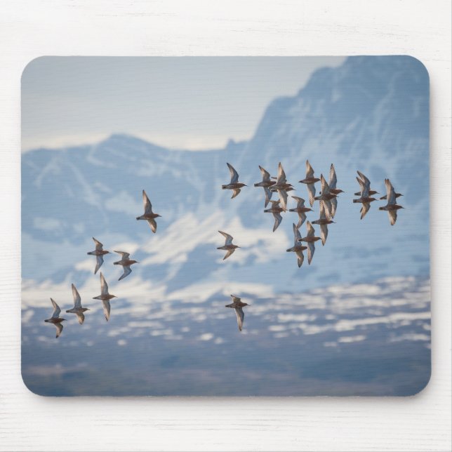 Mousepad Foto do Sandpiper Nature (Frente)