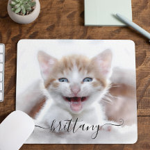 Foto do seu adorável gatinho de estimação da famíl