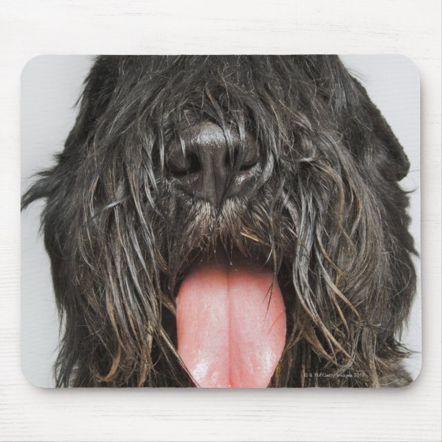Mousepad Foto do Studio (Frente)