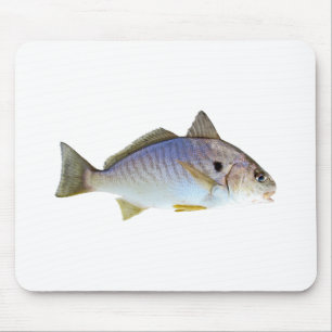 Mousepad Foto dos peixes do ponto