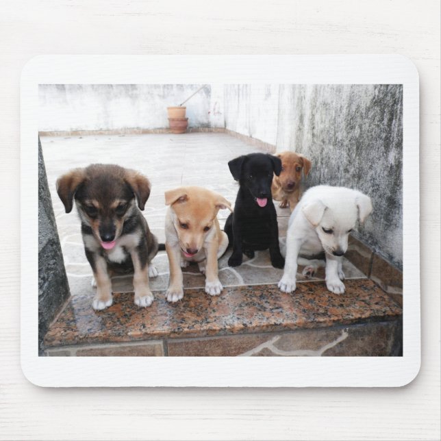 Mousepad Foto dos Puppies Super Bonitos (Frente)