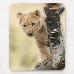 Mousepad Foto Fofa de Filhote de Leão Subindo em Árvore