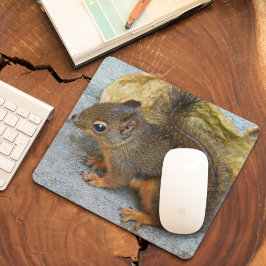 Mousepad Foto natural do Esquilo Douglas