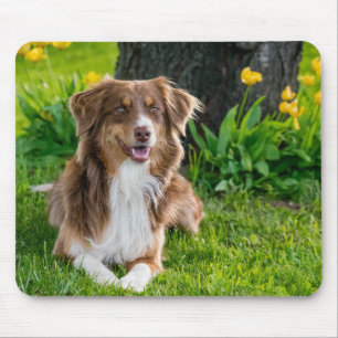 Mousepad Foto personalizada