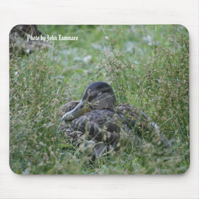 Mousepad Foto por John Tammaro (Frente)