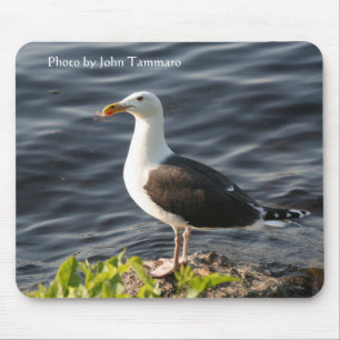 Mousepad Foto por John Tammaro