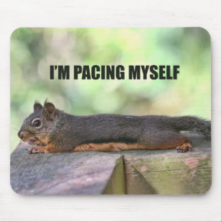 Mousepad Foto preguiçosa do esquilo