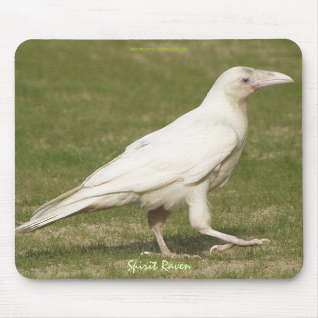 Mousepad Foto Rare White Raven Corvid-lover (Frente)