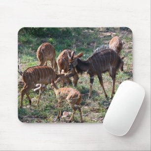 Mousepad Foto sobre a vida selvagem de Nyala Antelope