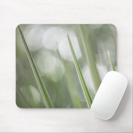 Mousepad Foto verde-pontiaguda da planta