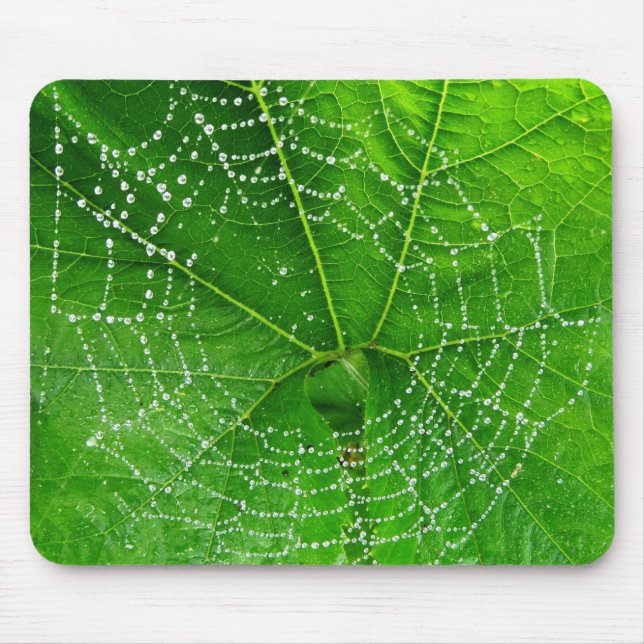 Mousepad Foto Web exclusiva de aranhas projetada (Frente)