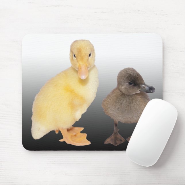 Mousepad Fotografia adorável dos patinhos (Com mouse)