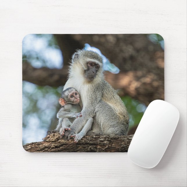 Mousepad Fotografia africana de macacos-prego (Com mouse)