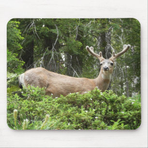 Mousepad Fotografia Animal Yosemite Deer Nature