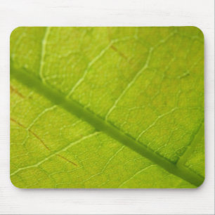 Mousepad Fotografia Botânica de Folhas Verdes da Natureza