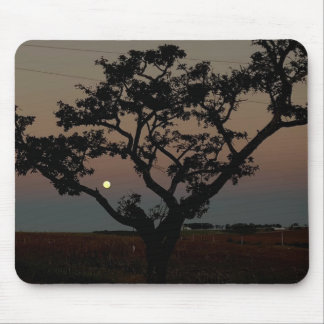 Mousepad Fotografia da árvore ao pôr do sol na parede Natur