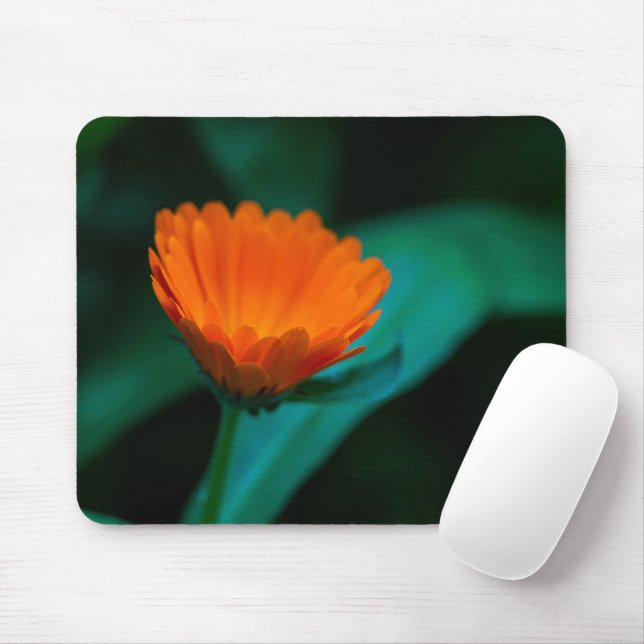 Mousepad Fotografia da Flor Margarida Laranja (Com mouse)