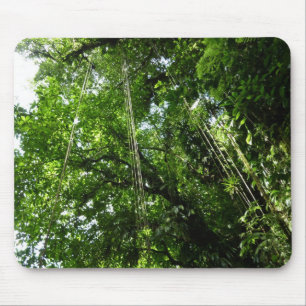 Mousepad Fotografia da floresta tropical Jungle Ropes