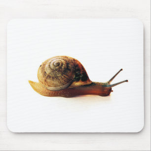 Mousepad Fotografia da Natureza de Caracol de Jardim