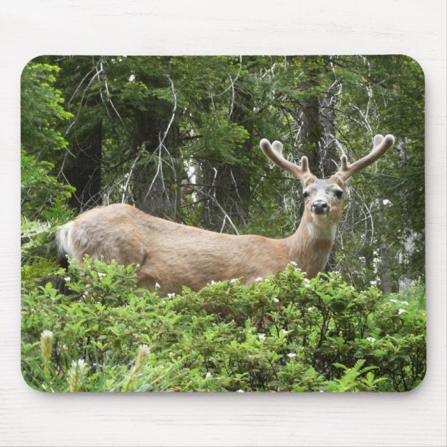 Mousepad Fotografia da Natureza de Cervos em Yosemite (Frente)