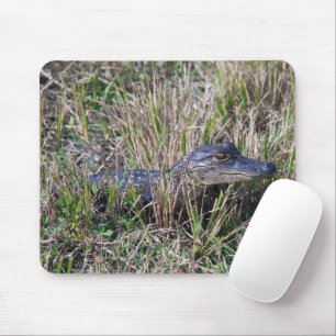 Mousepad Fotografia da Natureza e Vida Selvagem de Jacaré B
