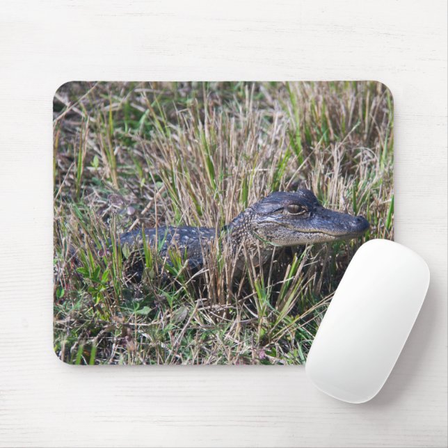 Mousepad Fotografia da Natureza e Vida Selvagem de Jacaré B (Com mouse)