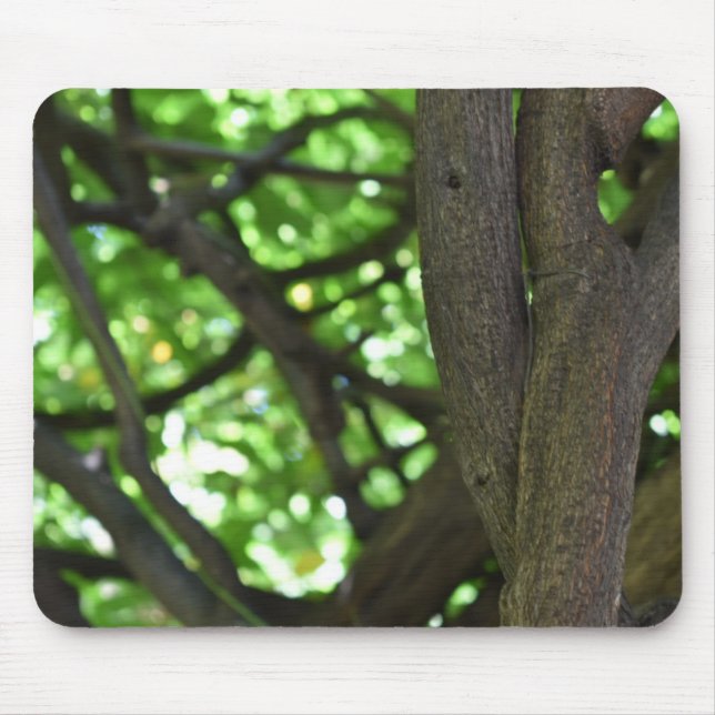 Mousepad Fotografia da natureza verde Wisteria Pergola Tree (Frente)
